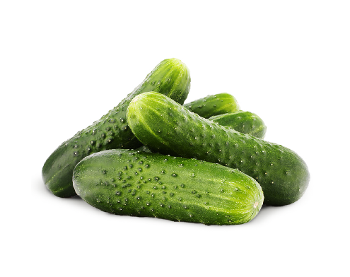 Ground cucumbers